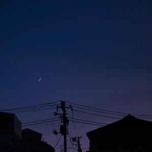 困困兔直播自慰免费看
