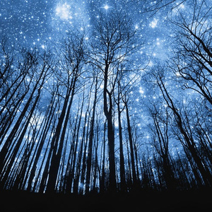 困困兔直播自慰免费看
